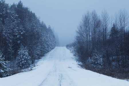 blue foggy snowy winter landscape