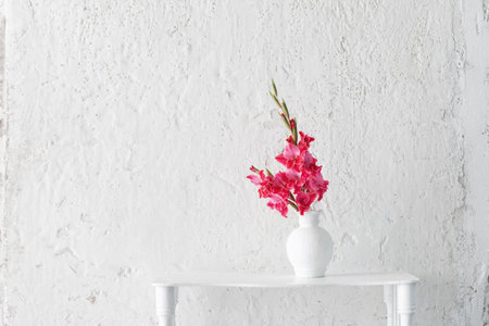 pink gladiolus in white vase on background white wallの写真素材