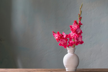 pink gladiolus in white vase on background blue wallの写真素材
