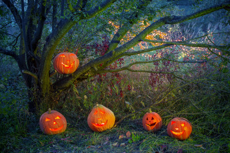 Halloween pumpkins in night mystery forestの写真素材