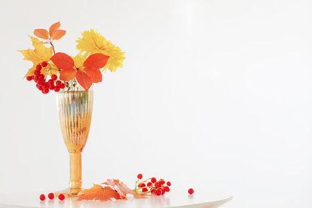 autumnal bouquet in glass vase on white backgroundの写真素材