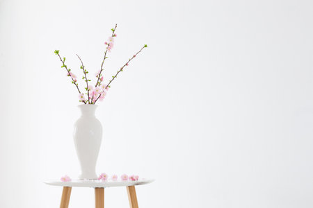 branches of blossoming almonds in vase on white backgroundの写真素材