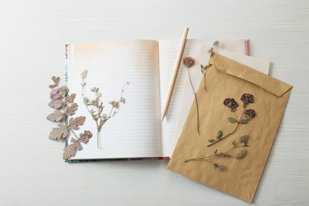 vintage composition of dried plants and old sheets of paperの写真素材