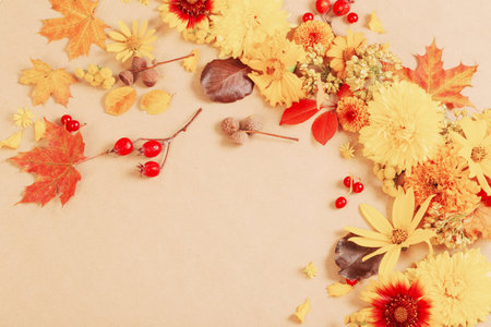 autumn flowers and leaves on paper backgroundの写真素材