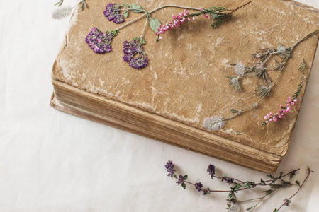 flowers with dried old book on old paper