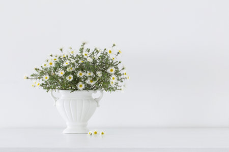 white flowers in white ceramic vase in white interiorの写真素材