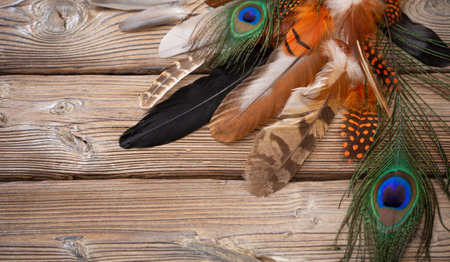 color feathers on old wooden backgroundの写真素材