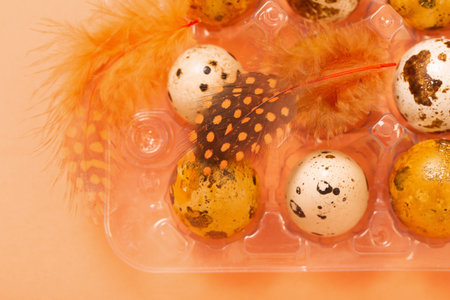 easter g quail eggs in plastic container on pastel backgroundの写真素材