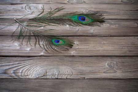 peacock feather on old wooden backgroundの写真素材