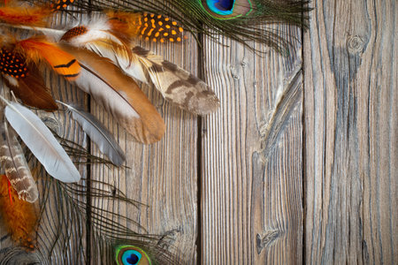 color feathers on old wooden backgroundの写真素材