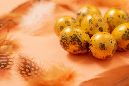 easter golden quail eggs on pastel backgroundの写真素材