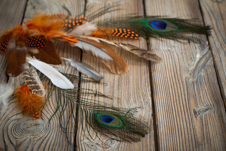 color feathers on old wooden backgroundの写真素材