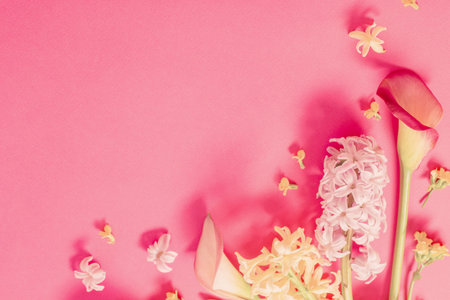 spring flowers on pink paper background