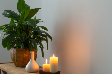 white home interior with houseplants on wooden shelfの写真素材
