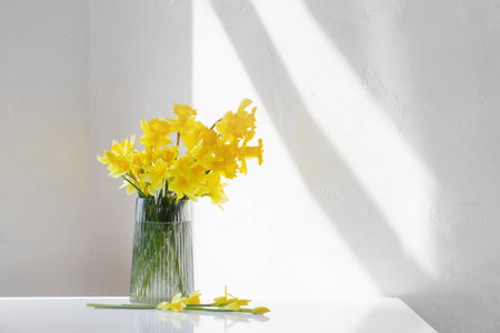 yellow spring daffodils in glass vase on white backgroundの写真素材