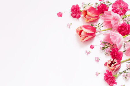 beautiful spring flowers on white backgroundの写真素材