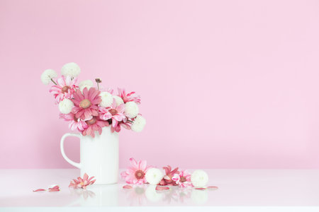 white and pink chrysanthemums in white cup on pink backgroundの写真素材