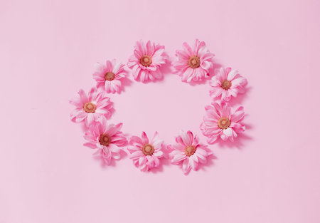 pink chrysanthemums on pink background background