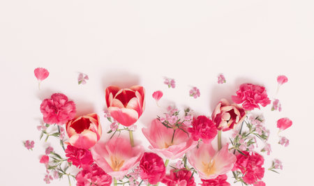 beautiful spring flowers on white backgroundの写真素材