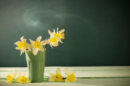 yellow narcissus in vase on green backgroundの写真素材