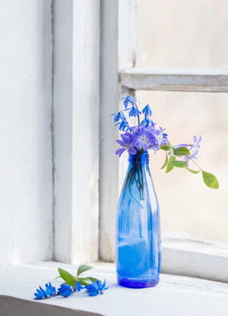 blue snowdrops in glass bottle on old white windowsillの写真素材