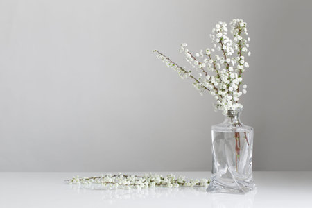white spring flowers in glass vase on white backgroundの写真素材