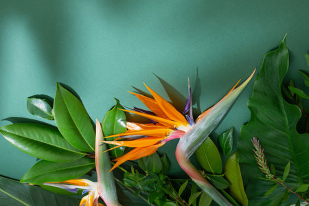 tropical exotic flowers and leaves on green backgroundの写真素材