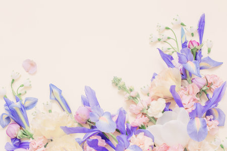 beautiful spring flowers on pastel backgroundの写真素材