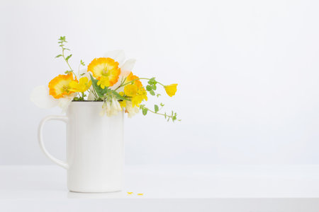 spring yellow flowers on white backgroundの写真素材
