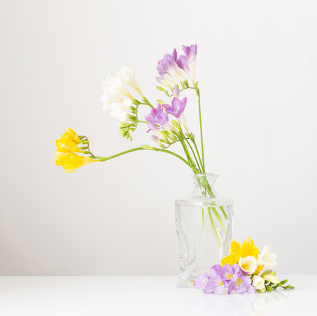 Freesia in glass vase on white backgroundの写真素材