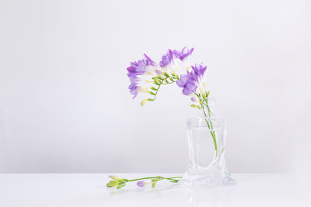 purple freesia in glass vase on white backgroundの写真素材
