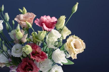 bouquet of eustoma on dark backgroundの写真素材