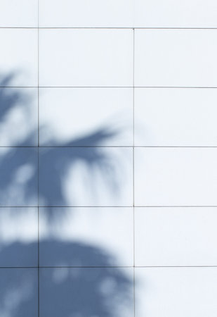 background of shadows of palm leaves on the wall in sunlight