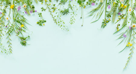 wild grass and flowers on green paper backgroundの写真素材