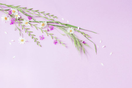 wild flowers on purple paper background