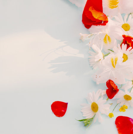 summer flowers in sunny light on blue backgroundの写真素材