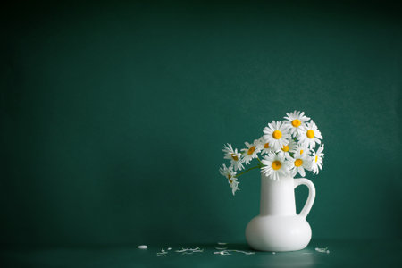 chamomile flowers in white jug on green backgroundの写真素材