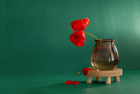 red poppies in glass vase on green backgroundの写真素材