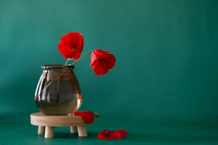 red poppies in glass vase on green backgroundの写真素材