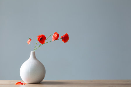 red poppies in vase on gray backgroundの写真素材