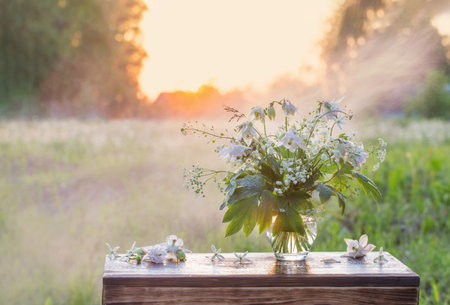 bouquet of summer flowers in glass vase in sunlight outdoorの写真素材