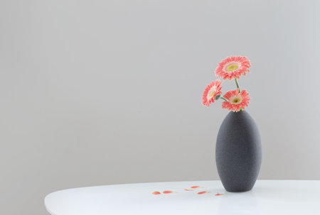pink gerber in gray vase on white table on background gray wallの写真素材
