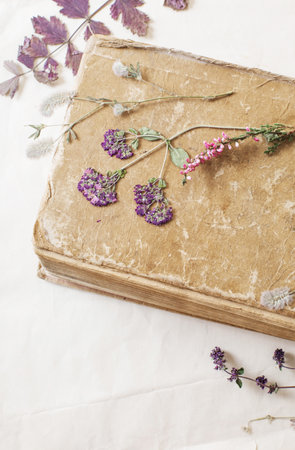 flowers with dried old book on old paperの写真素材