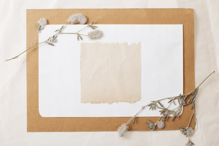 vintage composition of dried plants and old sheets of paperの写真素材
