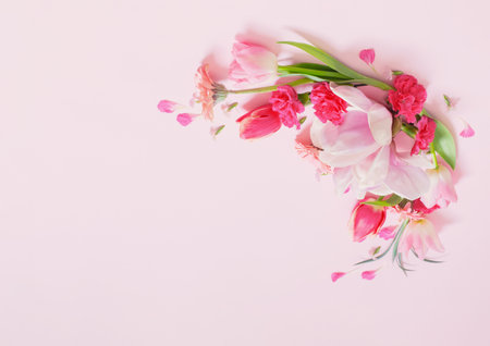 beautiful spring flowers on pink backgroundの写真素材