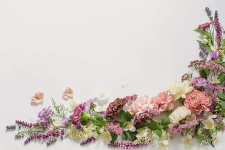 beautiful summer flowers on white backgroundの写真素材