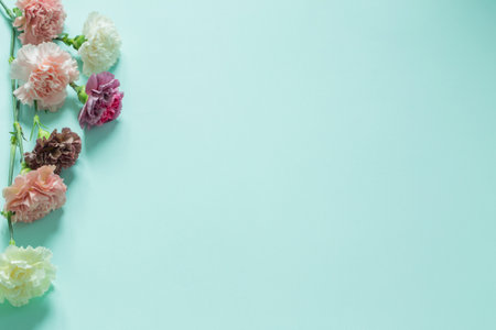 carnation flowers on green paper backgroundの写真素材