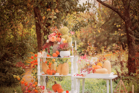 beautiful autumn decor with flowers, berries, pumpkins in gardenの写真素材