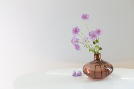 summer purple wild flowers in vase on white backgrroundの写真素材