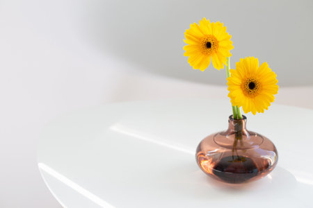 yellow gerbera in glass vase on white table on white backgroundの写真素材